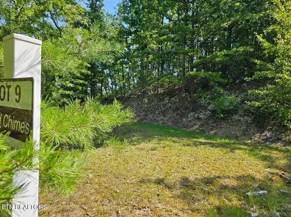 Sevierville, TN 37862,Lot 9-A Village CIR