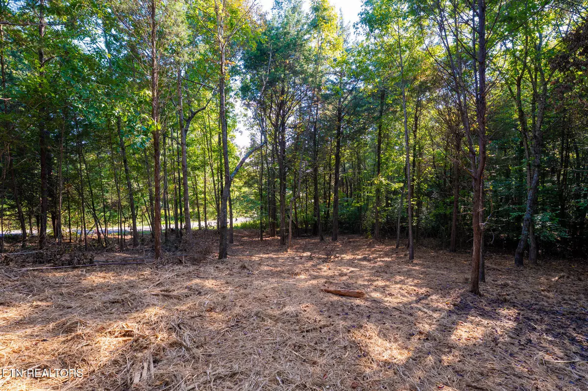 Loudon, TN 37774,320 Valley DR