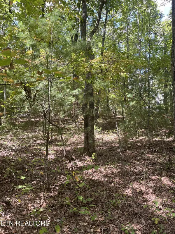 Tellico Plains, TN 37385,589 Barney Creek Rd Rd