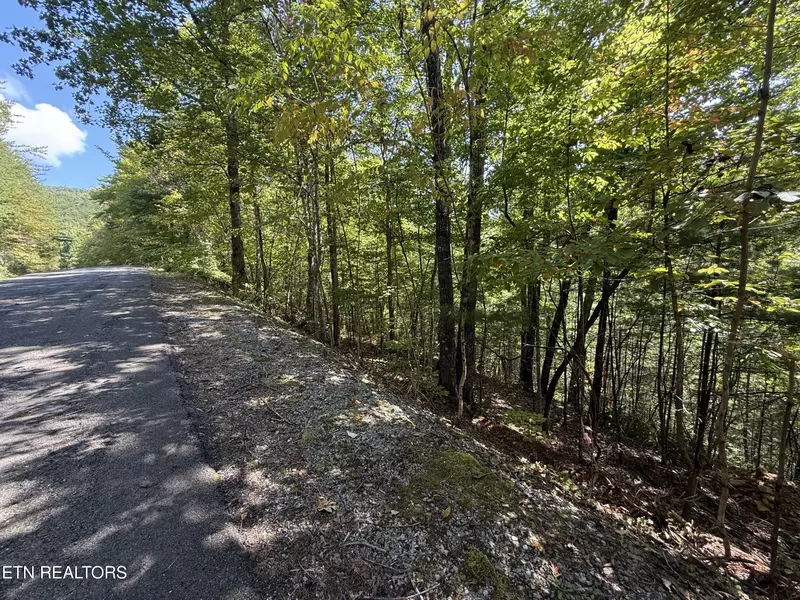 Lot 99E Black Powder Ln, Sevierville, TN 37862