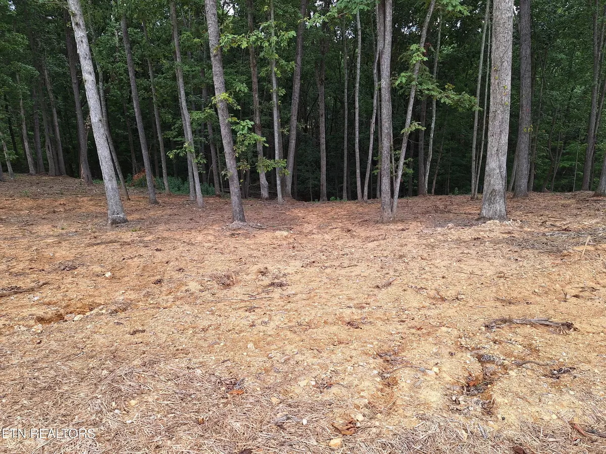 Loudon, TN 37774,121 Cherry Tree LN