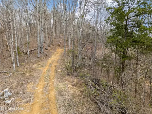 Seymour, TN 37865,George Harrison WAY
