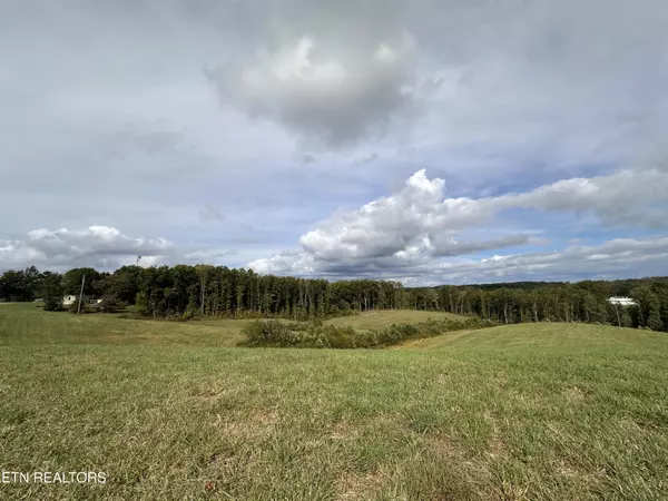 Jamestown, TN 38556,20.14 ac Billy Ridge Rd