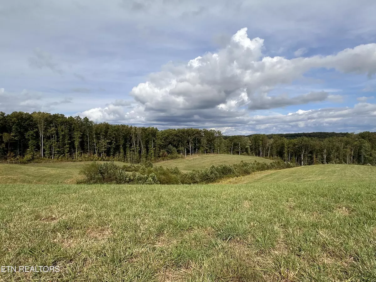 Jamestown, TN 38556,20.14 ac Billy Ridge Rd