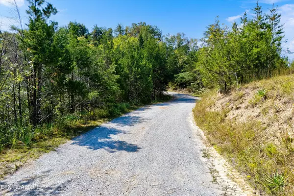 Sevierville, TN 37876,00 Flat Creek Rd