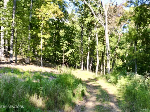 Lenoir City, TN 37772,497 Thompson Rd