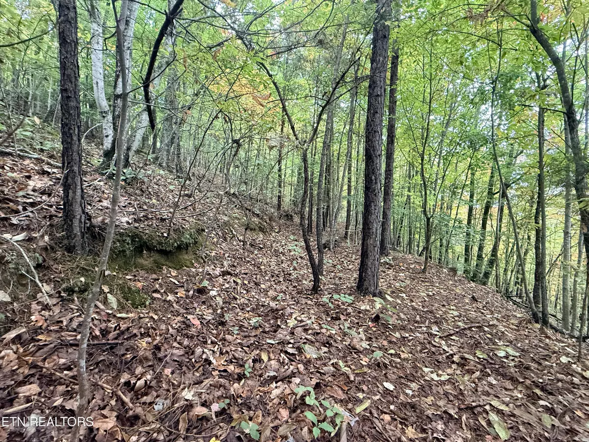 New Tazewell, TN 37825,Lot 192 Clinch View Road