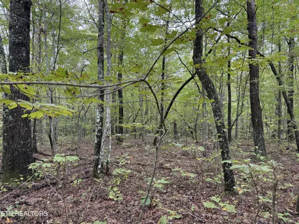 White Oak Rd, Monterey, TN 38574