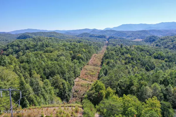 Robert Green Way, Sevierville, TN 37876