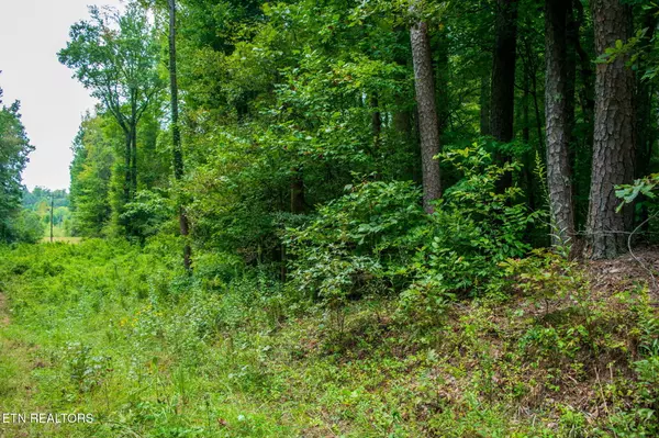 Tellico Plains, TN 37385,highway 68