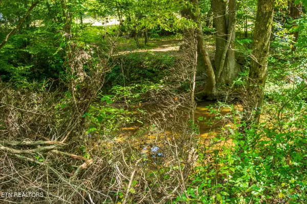 Tellico Plains, TN 37385,highway 68