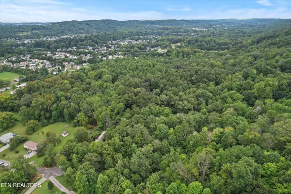 Knoxville, TN 37931,3617 Betty LN