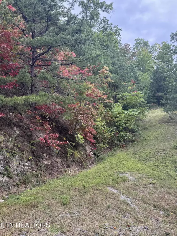 Sevierville, TN 37862,Enclave Park WAY