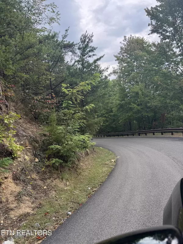 Sevierville, TN 37862,Enclave Park WAY