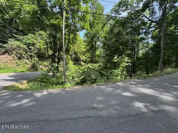 Gatlinburg, TN 37738,Lot 76 Luzerne DR