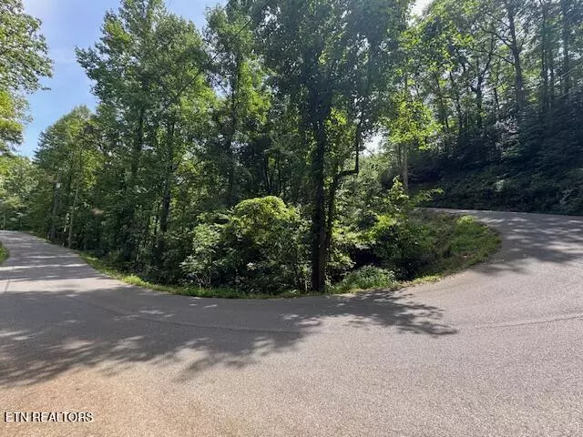 Gatlinburg, TN 37738,Lot 76 Luzerne DR