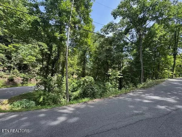 Gatlinburg, TN 37738,Lot 76 Luzerne DR