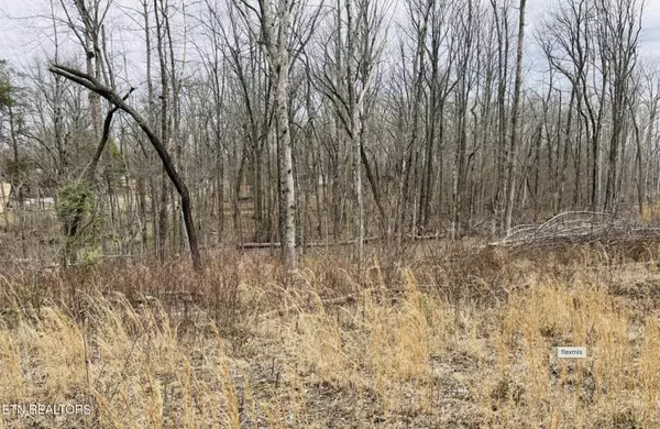 Crossville, TN 38572,2, 3, 4, 5 Tresa St