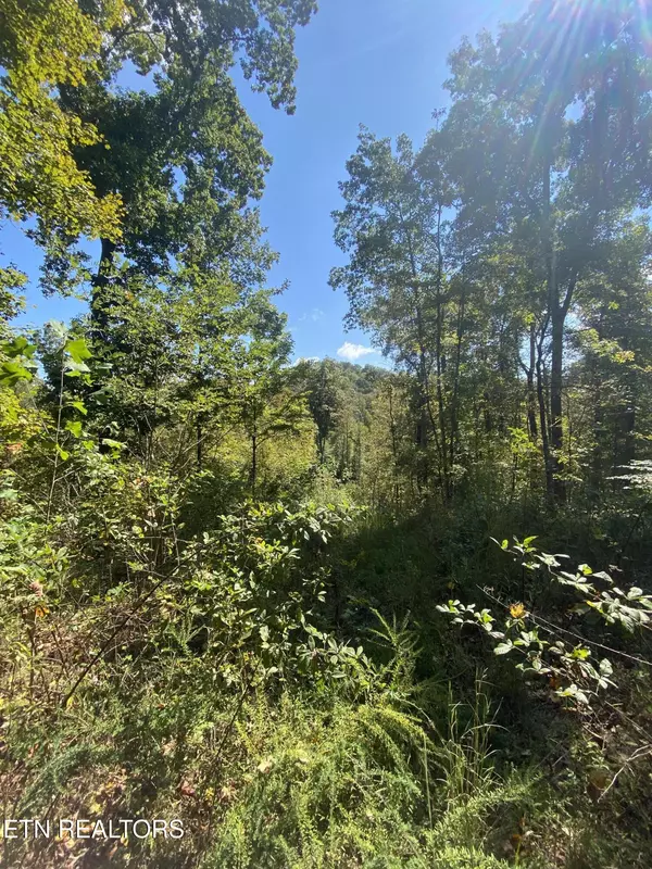 Knoxville, TN 37914,9150 Brownlow Newman LN