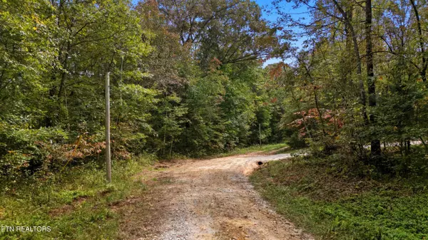 Deer Lodge, TN 37726,Nashville Ave