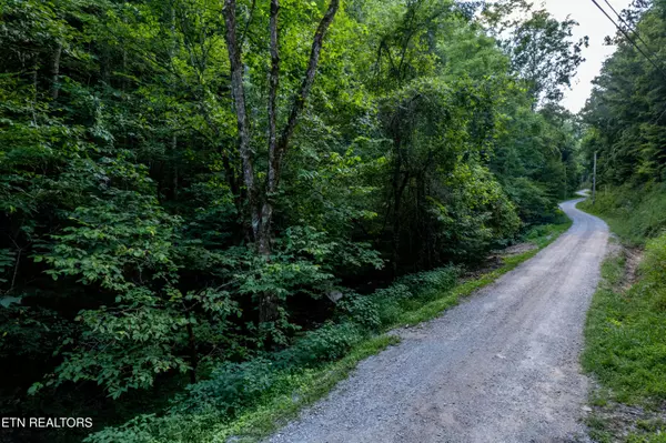 Sevierville, TN 37862,Hidden Hollow WAY