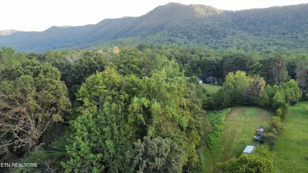 Dry Valley Rd, Townsend, TN 37882