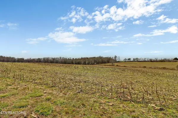 40 acres Rugby PIKE, Jamestown, TN 38556