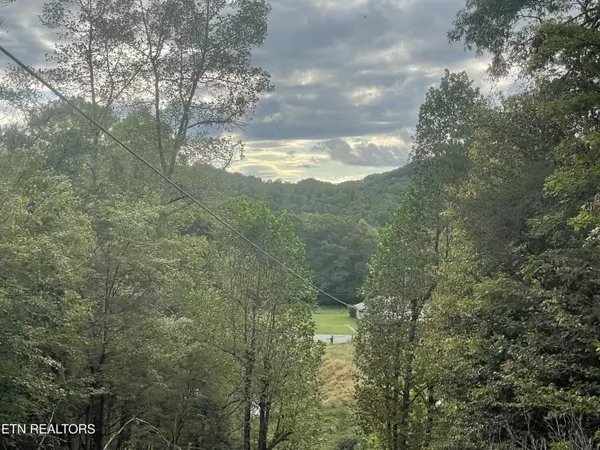 Oneida, TN 37841,Buffalo Creek Rd