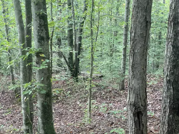 Oneida, TN 37841,Buffalo Creek Rd