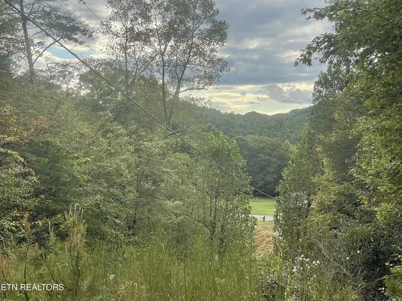 Buffalo Creek Rd, Oneida, TN 37841