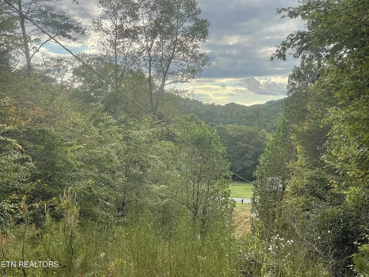 Oneida, TN 37841,Buffalo Creek Rd