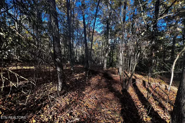 Crossville, TN 38572,1320 Black Cloud DR