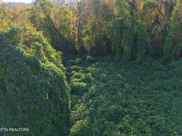 Knoxville, TN 37915,1831 Natchez Ave