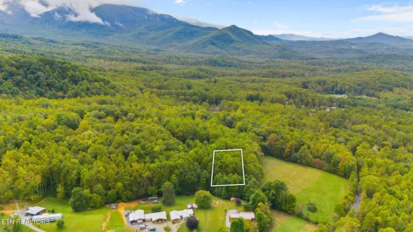 Cosby, TN 37722,Mountain Laurel WAY