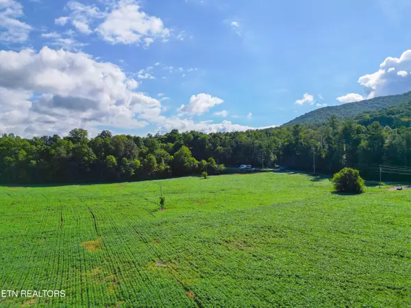 61 +/- acs Cosby Hwy, Cosby, TN 37722