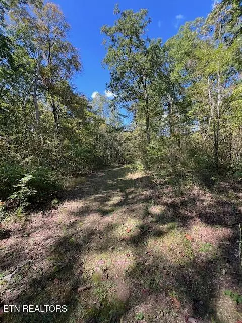 Monterey, TN 38574,Hwy 70 N