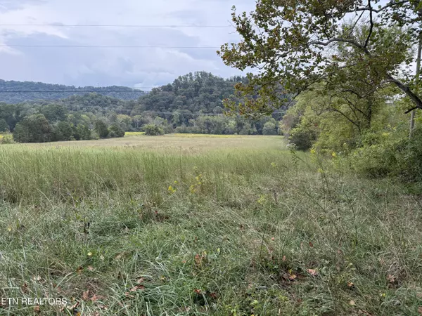 Pedigo Rd, Powell, TN 37849