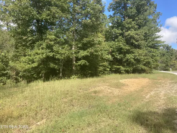 Hardin Private Dr lots 8 & 9, Robbins, TN 37852