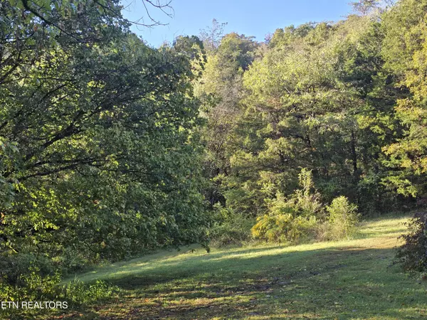 Thorn Hill, TN 37881,779 PawPaw Rd