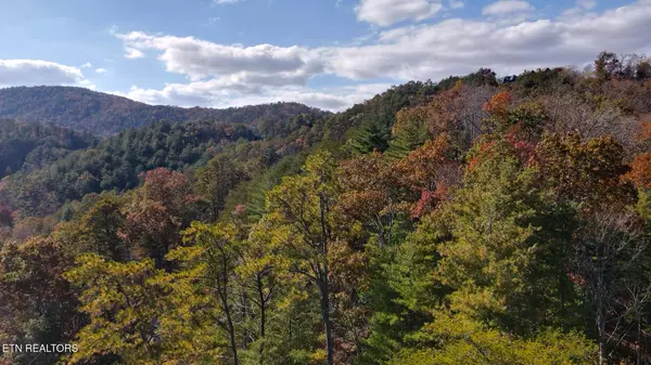 Townsend, TN 37882,849 Hawk View Rd