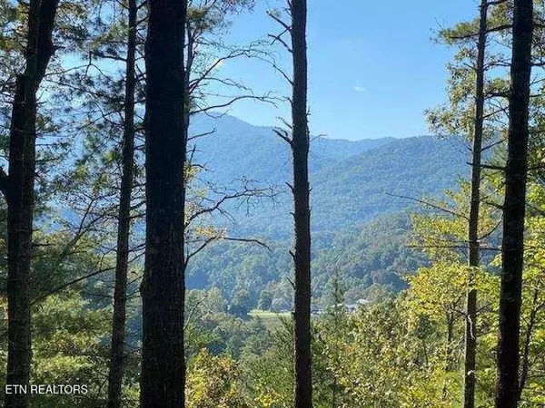 849 Hawk View Rd, Townsend, TN 37882