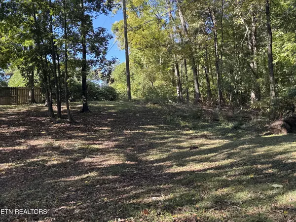 Knoxville, TN 37917,351 Hiawassee Ave