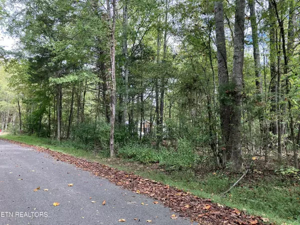 Baneberry, TN 37890,Lot 1129 Cove LN