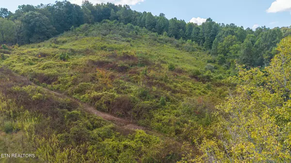 Sneedville, TN 37869,3341 Stoney Fork Rd