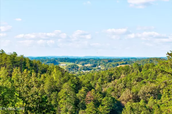 Sevierville, TN 37876,2462 Dogwood Loop DR