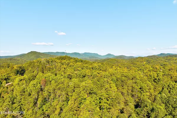 Sevierville, TN 37876,2462 Dogwood Loop DR