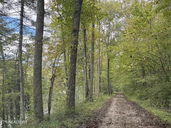 Grandview, TN 37337,Lot 54 Pleasant Park