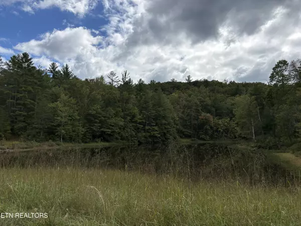 Grandview, TN 37337,Lot 153 Bear Den Tr