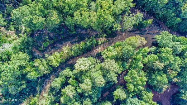 Newport, TN 37821,151 Delicious Way