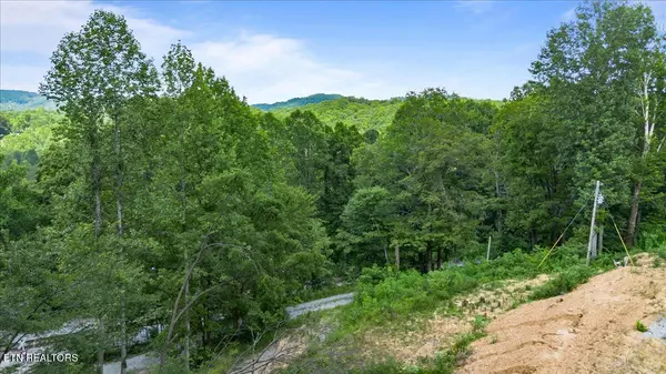 Caryville, TN 37714,353 Walden Ridge LN